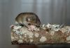 DSC_0026~7.jpg