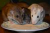 DSC_0026~9.jpg