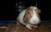 DSC_0028~5.jpg