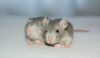 DSC_0029~13.jpg