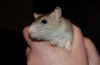 DSC_0029~2.jpg