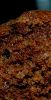DSC_0031~2.jpg