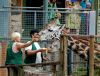 Filename=DSC_0031~4.jpg
Filesize=228KiB
Dimensions=1200x912
Date added=Jul 06, 2011 DSC_0031~4.jpg