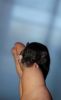 DSC_0032~11.jpg