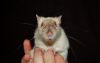 DSC_0032~8.jpg
