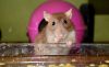 DSC_0033~12.jpg