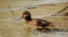 DSC_0035~7.jpg