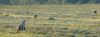 DSC_0037~16.jpg