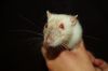 DSC_0037~5.jpg