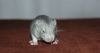 DSC_0039~14.jpg