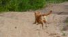DSC_0039~15.jpg