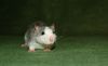 DSC_0041~6.jpg