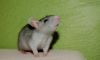 DSC_0043~8.jpg