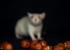 DSC_0044~13.jpg