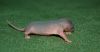 DSC_0044~7.jpg
