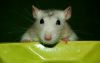DSC_0045~12.jpg