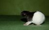 DSC_0045~4.jpg