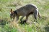 DSC_0048~11.jpg