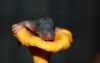 DSC_0048~4.jpg