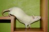 DSC_0048~9.jpg