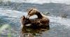 DSC_0049~2.jpg