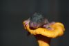 DSC_0050~5.jpg