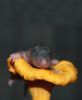 DSC_0053~6.jpg