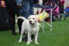 DSC_0054~10.jpg