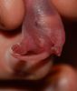 DSC_0058~7.jpg