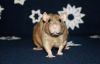 DSC_0059~13.jpg