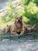 Filename=DSC_0062.JPG
Filesize=264KiB
Dimensions=921x1200
Date added=Jul 29, 2012 DSC_0062.JPG