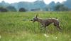 DSC_0062~15.jpg
