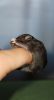 DSC_0063~7.jpg