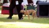 DSC_0064~12.jpg