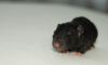 DSC_0067~13.jpg