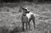 DSC_0067~17.jpg