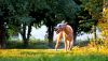 DSC_0068~19.jpg