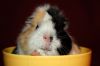 DSC_0071.jpg