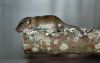 DSC_0074~6.jpg