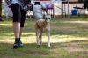 DSC_0076~16.jpg