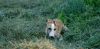 DSC_0077~15.jpg