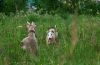 DSC_0078~15.jpg