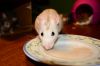 DSC_0079~13.jpg