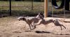 DSC_0081~18.jpg