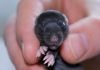 DSC_0084~15.jpg