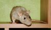 DSC_0085~17.jpg