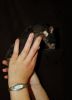 DSC_0085~6.jpg