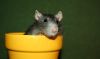 DSC_0092~6.jpg