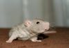 DSC_0094~10.jpg