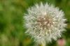 DSC_0094~2.jpg